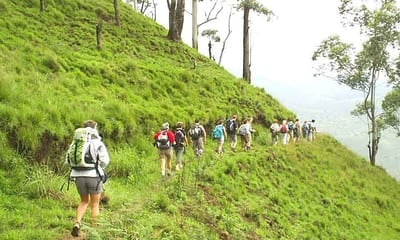 Adventure Tours