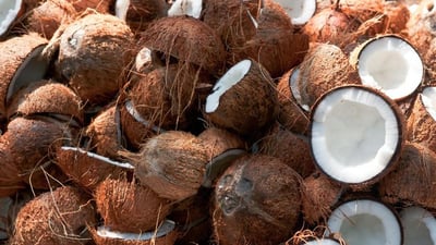 Coconut Shells