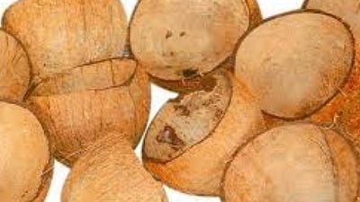 Coconut Shells
