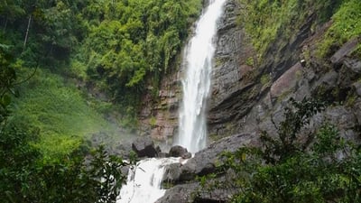 Mapalana Ella