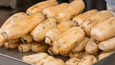 Lotus Root (?????? ??)