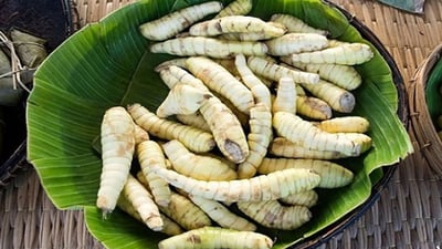 Arrow root