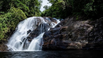 Brahakmana Ella