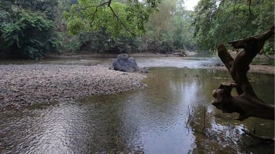 Dambulu Oya River