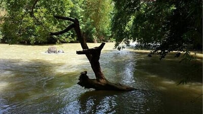 Dambulu Oya River