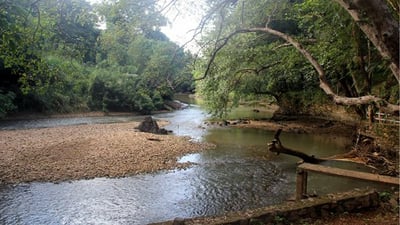 Dambulu Oya River