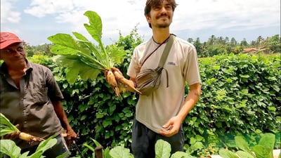 Midigama Fruit Farm