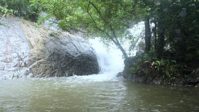 Dambora Ella