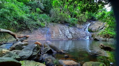Dambora Ella