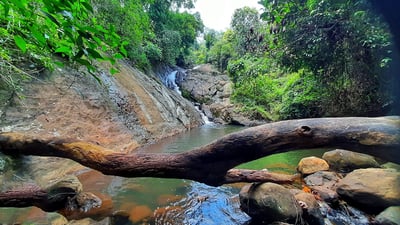 Dambora Ella