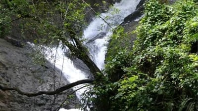 Dambora Ella