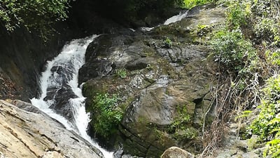 Dambora Ella