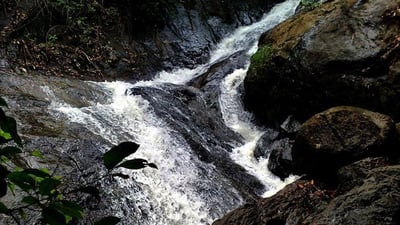 Dambora Ella