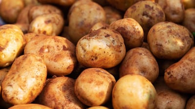 Chinese potato (??? ??)