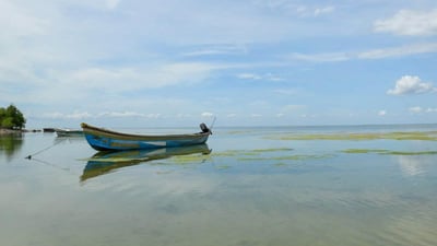Jaffna Lagoon