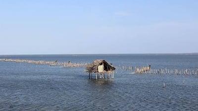 Jaffna Lagoon