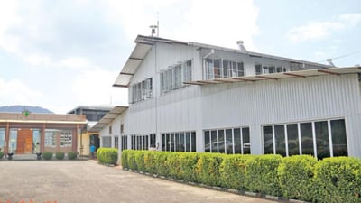 Lumbini Tea Estate