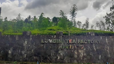 Lumbini Tea Estate