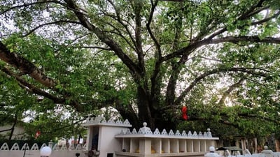 Gokanna Vihara