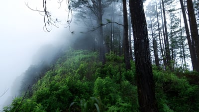 Kabaragala