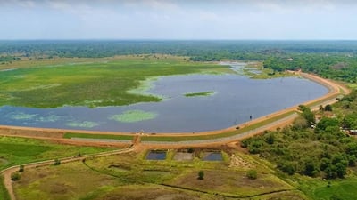 Ancient Small-Tank Irrigation Sri Lanka