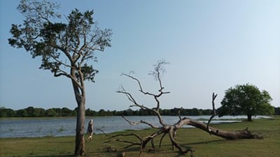 Ranawaranawa Wewa