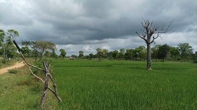 Ranawaranawa Wewa