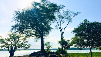 Lahugala