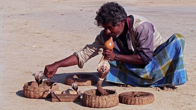 Sri Lankan Gypsy people
