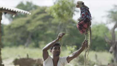 Sri Lankan Gypsy people
