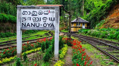 Nanu Oya Railway Station