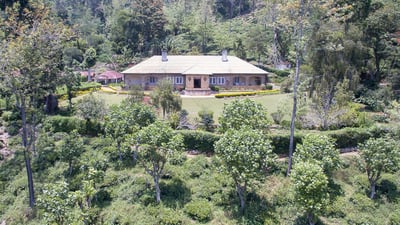 Lucky Land Estate