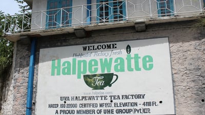 Halpewatte Tea Factory