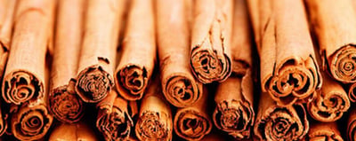Ceylon Cinnamon receives GI certification from EU