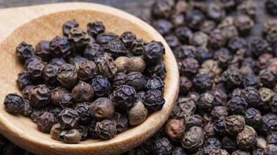 THE BENEFITS OF BLACK PEPPER