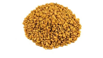 Fenugreek (Methi) Seeds