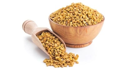 Fenugreek (Methi) Seeds