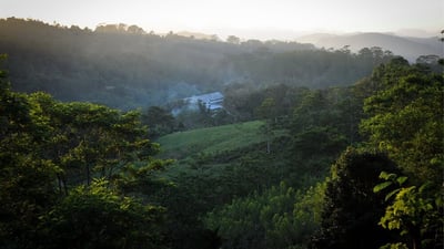 Houpe Estate