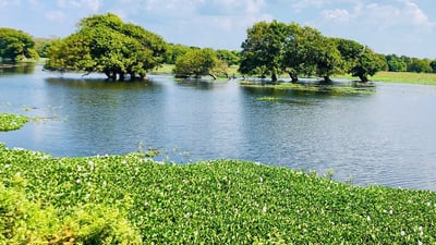 Chilaw City