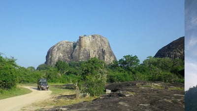 Aligala