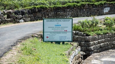 Dambatenne Tea Factory