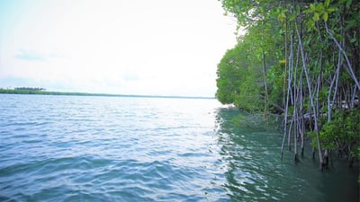 Rekawa Lagoon