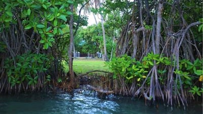 Rekawa Lagoon