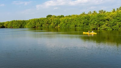 Rekawa Lagoon