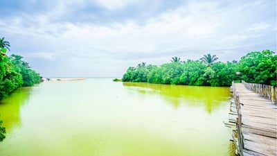 Rekawa Lagoon