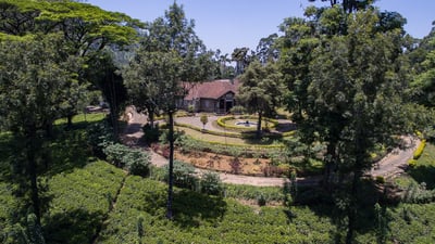 Rothschild Estate