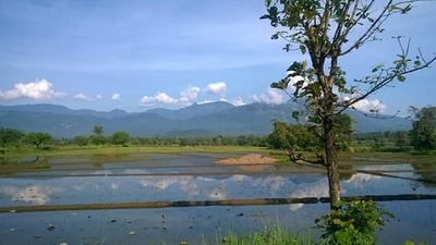 Dehiattakandiya