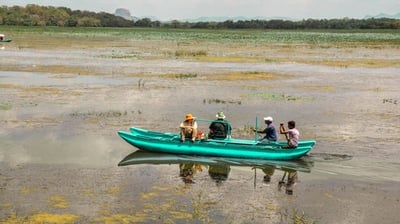 catamaran safari