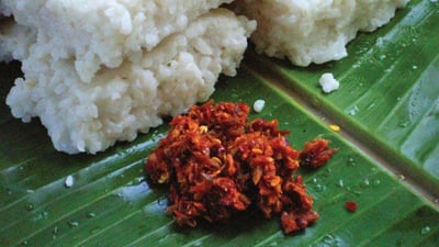 Katta Sambol