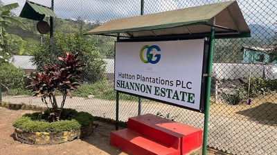 Shannon Tea Estate
